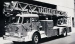 HIGH LADDER 1.jpg