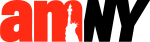 amNY-logo.png