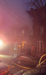 P1.gif