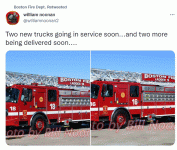 BFD 1.gif