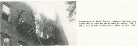 1956 sq 4.gif