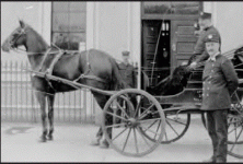 chief 2.gif chief 2.gif