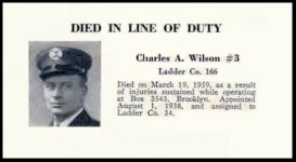 WILSON.jpg WILSON.jpg