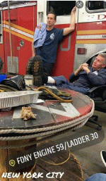 59 10.gif