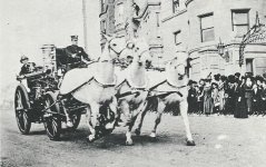 E 80 ap 1.jpg E 80 ap 1.jpg