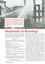 BUSHWICK BURNING 1.jpg