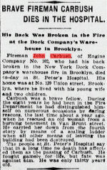 carbush 1.gif carbush 1.gif