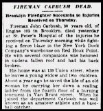 carbush3.gif carbush3.gif