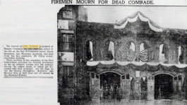 carbush 2.gif carbush 2.gif