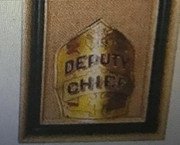 DAC-SHIELD.jpg