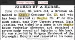 Horse 1897.jpg