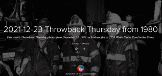 TT GIF.gif TT GIF.gif