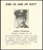 feldman l 43.gif