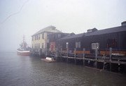 Marine_1.jpg