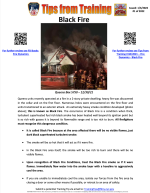 FDNY BOT Tips from Training # 22-1- Black Fire.png