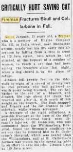 Jiranek.gif Jiranek.gif