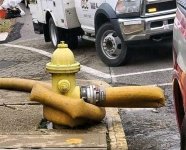MY hydrant.jpg