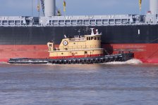 1675361069046.jpeg 1675361069046.jpeg