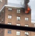 57D3DD31-3DD9-4FDD-A682-43730A4EB2D0.jpeg 57D3DD31-3DD9-4FDD-A682-43730A4EB2D0.jpeg