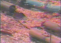 Screen Shot 2023-02-20 at 11.11.19 AM.png