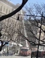 58799E8C-E11D-4221-9B87-380D04CEEF58.jpeg 58799E8C-E11D-4221-9B87-380D04CEEF58.jpeg