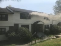 IMG_4531.jpeg IMG_4531.jpeg