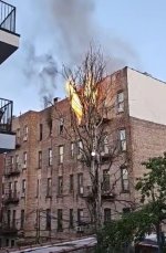 IMG_6963.jpeg IMG_6963.jpeg