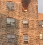 IMG_7108.jpeg IMG_7108.jpeg