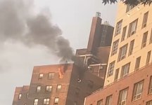 IMG_7109.jpeg IMG_7109.jpeg