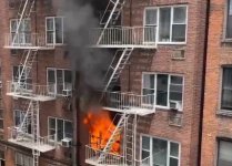 IMG_3875.jpeg IMG_3875.jpeg