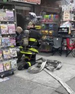 IMG_7833.jpeg IMG_7833.jpeg