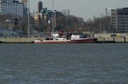 Marine_9_1.jpg