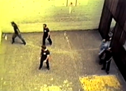 E_82_L_31_1972_back_yard.png