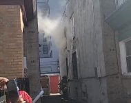 IMG_4553.jpeg IMG_4553.jpeg