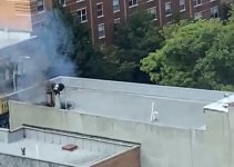 IMG_8798.jpeg IMG_8798.jpeg