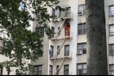 IMG_8918.jpeg IMG_8918.jpeg