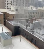 IMG_9442.jpeg IMG_9442.jpeg