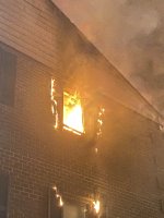 IMG_0011.jpeg IMG_0011.jpeg