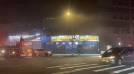 IMG_0394.jpeg IMG_0394.jpeg