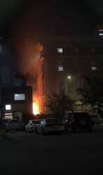 IMG_6661.jpeg IMG_6661.jpeg