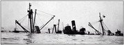 6_Estero-_Sunk.jpg