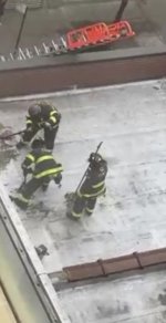 IMG_1570.jpeg IMG_1570.jpeg