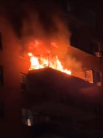 IMG_2251.jpeg IMG_2251.jpeg