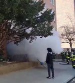 IMG_3775.jpeg IMG_3775.jpeg