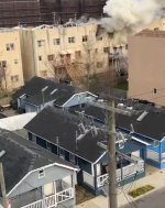 IMG_4433.jpeg IMG_4433.jpeg