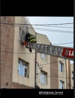 IMG_4438.jpeg IMG_4438.jpeg