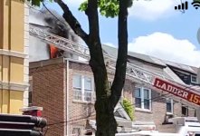 IMG_4784.jpeg IMG_4784.jpeg