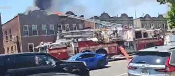 IMG_5415.jpeg IMG_5415.jpeg