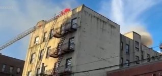 IMG_5604.jpeg IMG_5604.jpeg