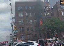 IMG_3381.jpeg IMG_3381.jpeg